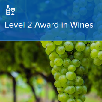 WSET®Level 2 Award in Wines