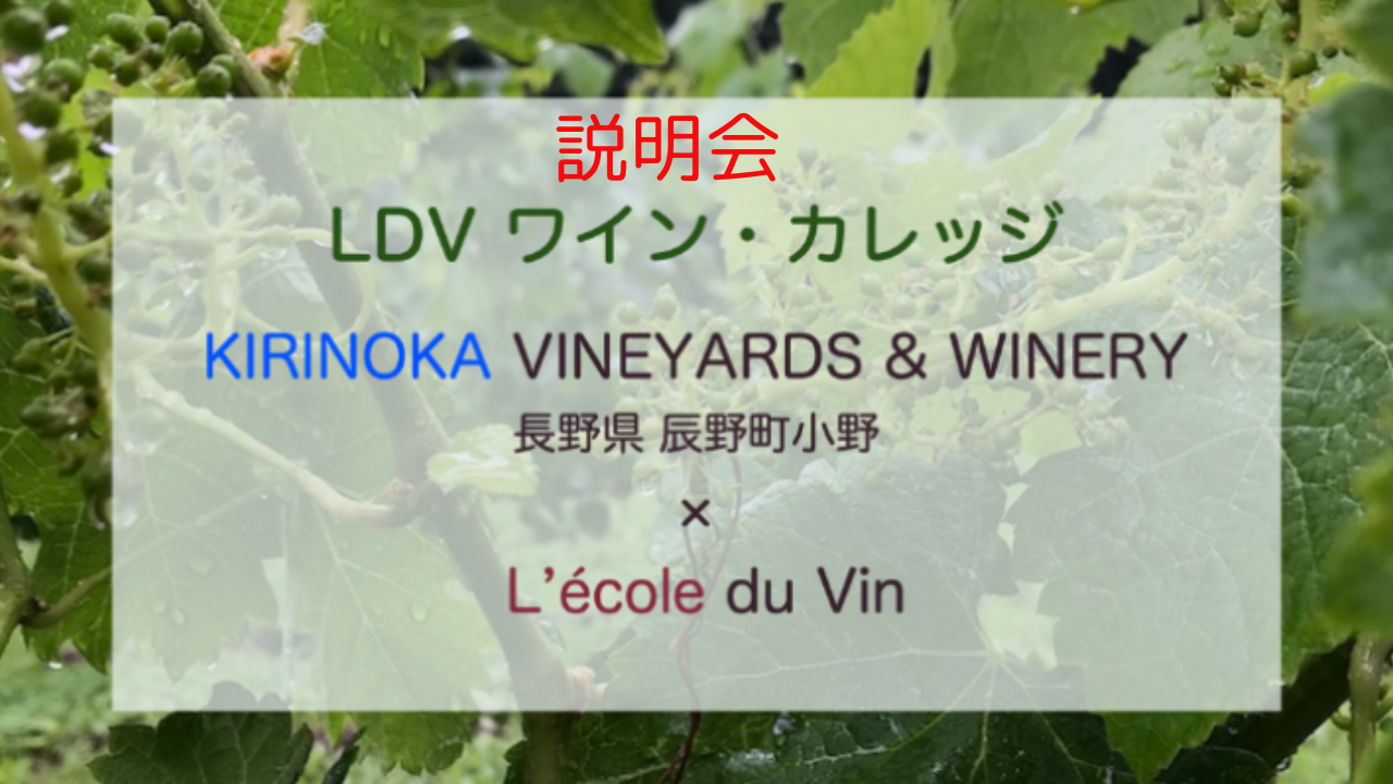 LDVワイン・カレッジ説明会