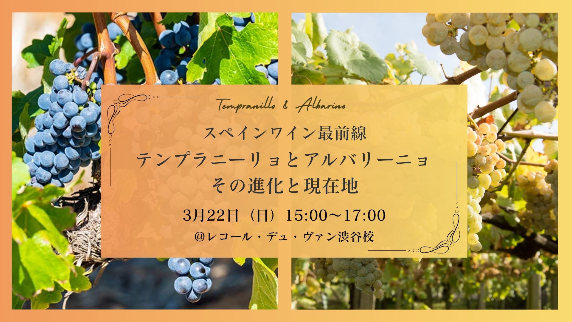 【スペイン特別セミナー】スペインワイン最前線 　～テンプラニーリョとアルバリーニョ その進化と現在地～