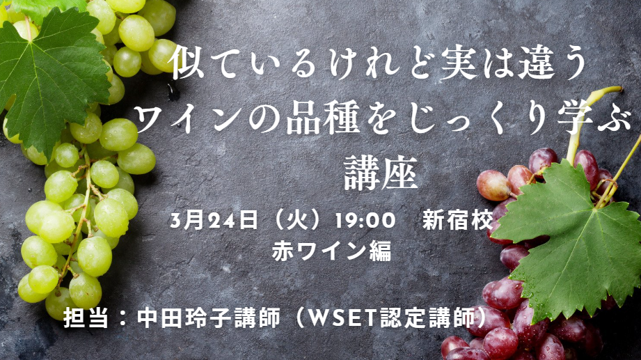 似ているけれど実は違うワインの品種をじっくり学ぶ講座　赤ワイン編