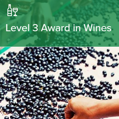 【23年度6月開講】 WSET®Level 3 Award in Wines
