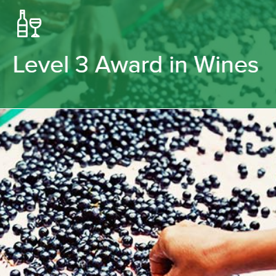 【26年1月開講】WSET®Level 3 Award in Wines