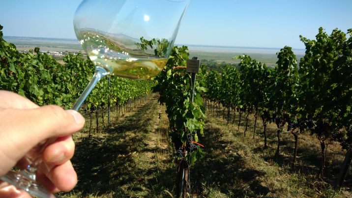 【AWB】とことん深堀り！オーストリアワイン講座