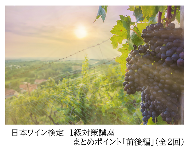 日本ワイン検定　1級対策講座 　まとめポイント「前後編」