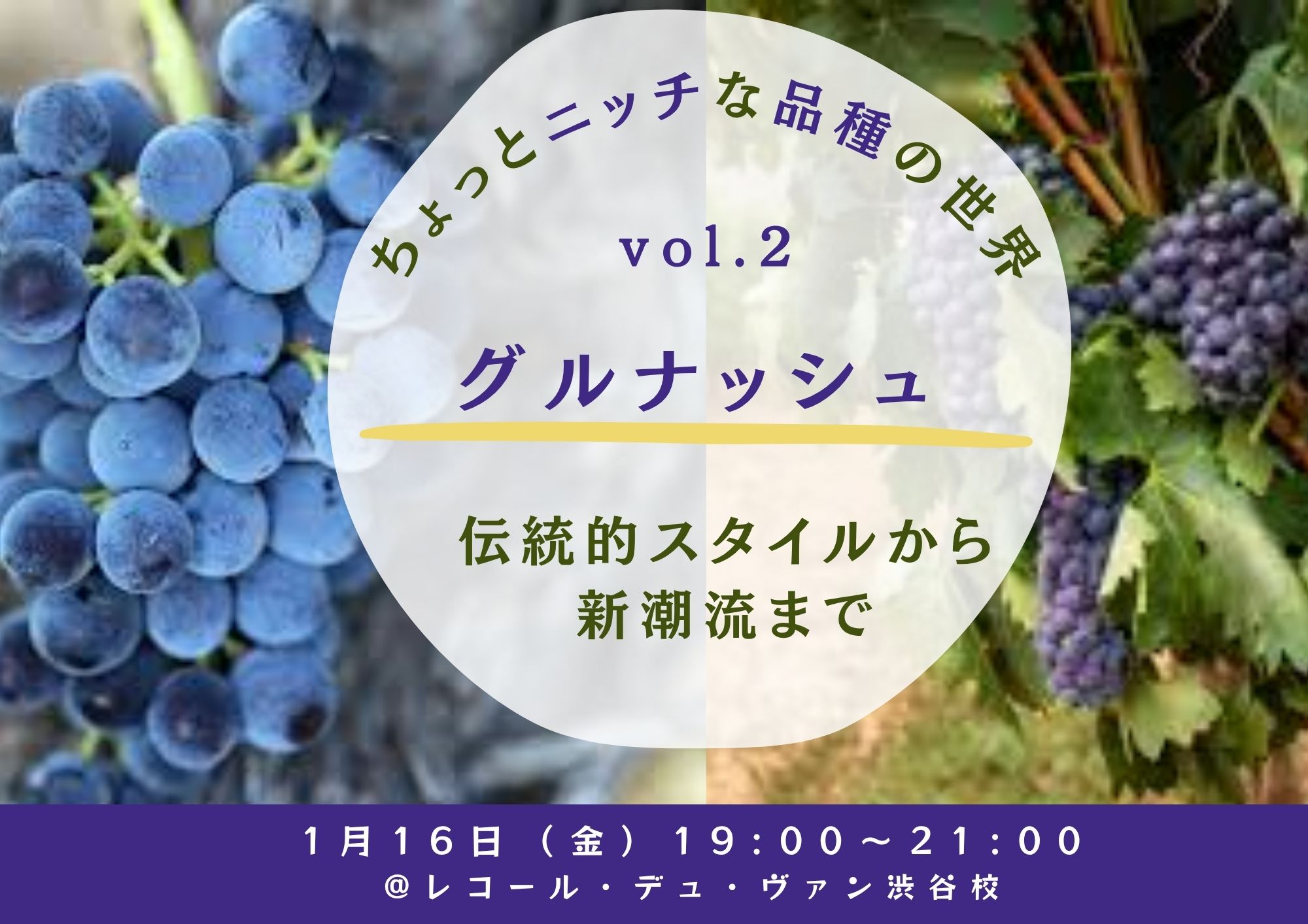 ちょっとニッチな品種の世界 vol.2　『グルナッシュ』 ～伝統的スタイルから新潮流まで～