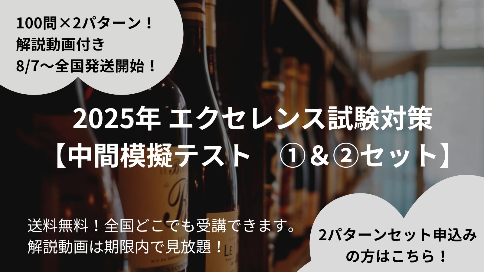 2025年 エクセレンス試験対策【中間模擬テスト①②セット】（100問×2