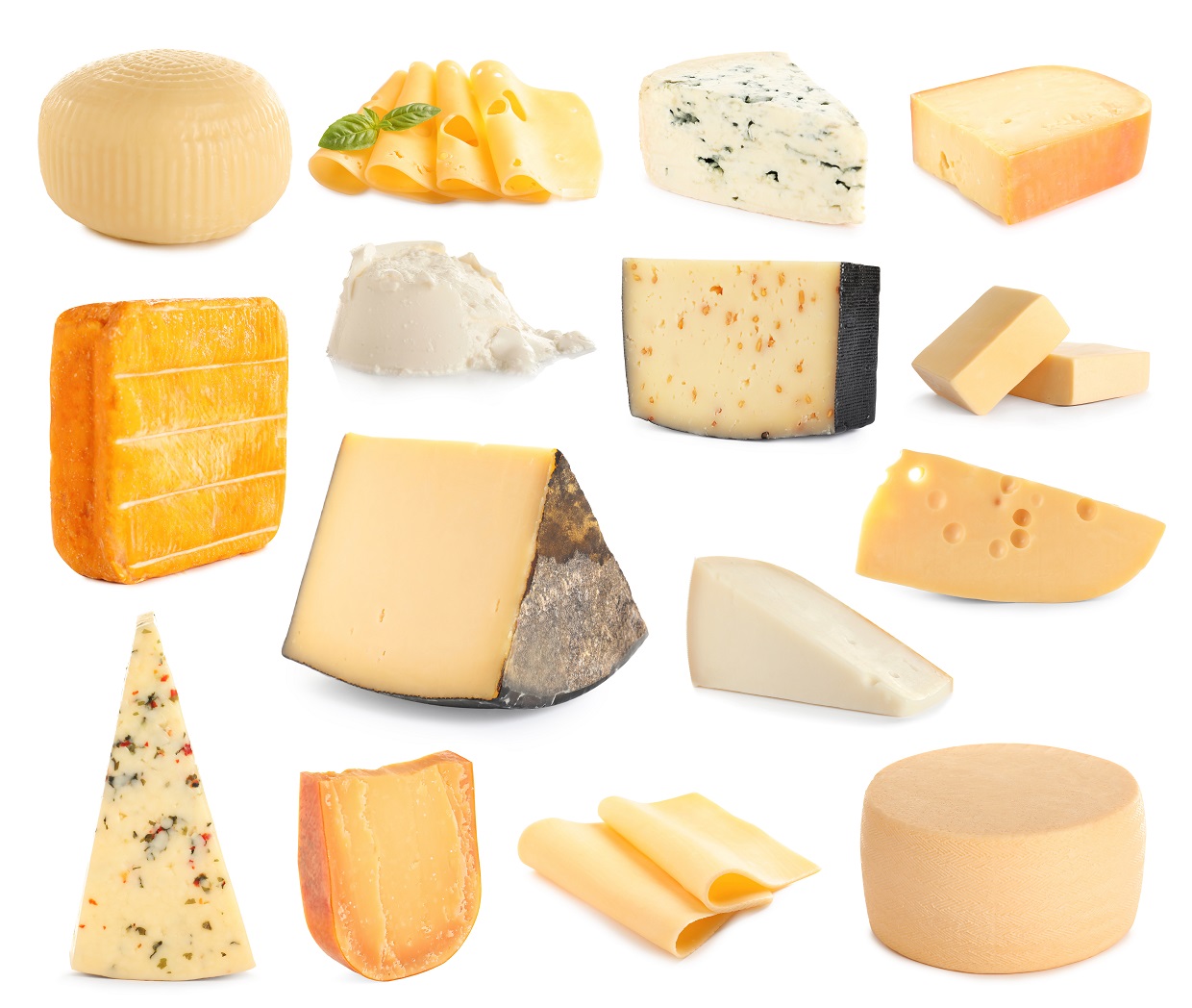 チーズ講座担当講師